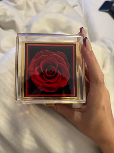 Image #1 from Noah K.