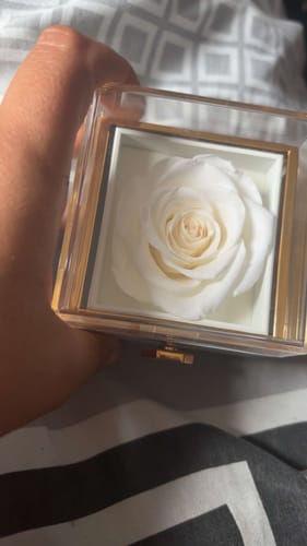 Image #1 from Daniel Q.