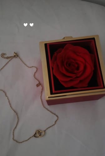 Image #1 from Isabella D.